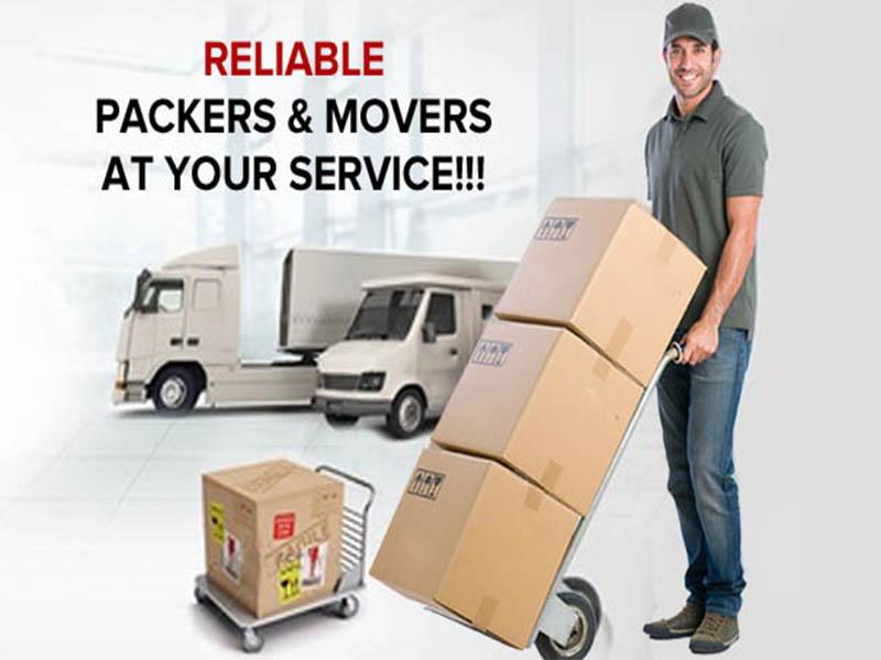 packer and movers service in sector 11 noida